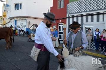 Alegre y participativa romería en El Ejido (Foto FJ Santana y TF)